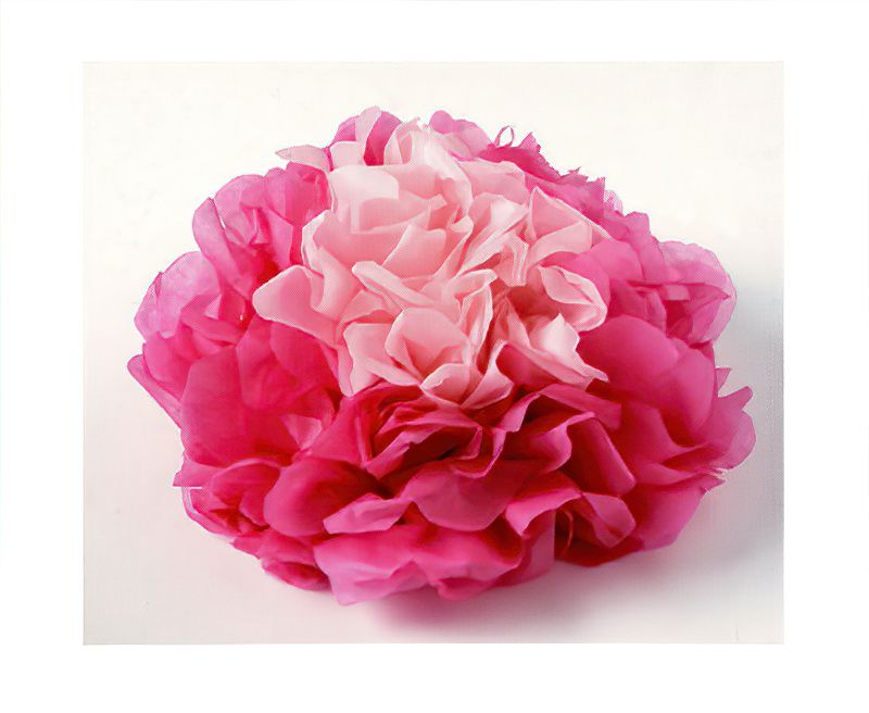 Tissue Pompom Flowers Are Fab