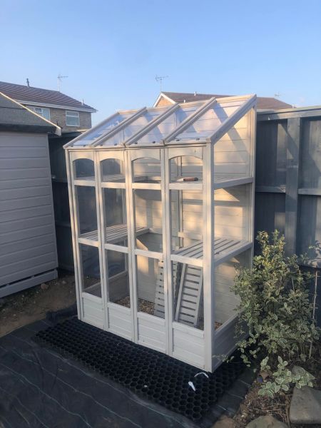 I would really love a little greenhouse for my garden as I love the idea of growing vegetables, especially in the diffic