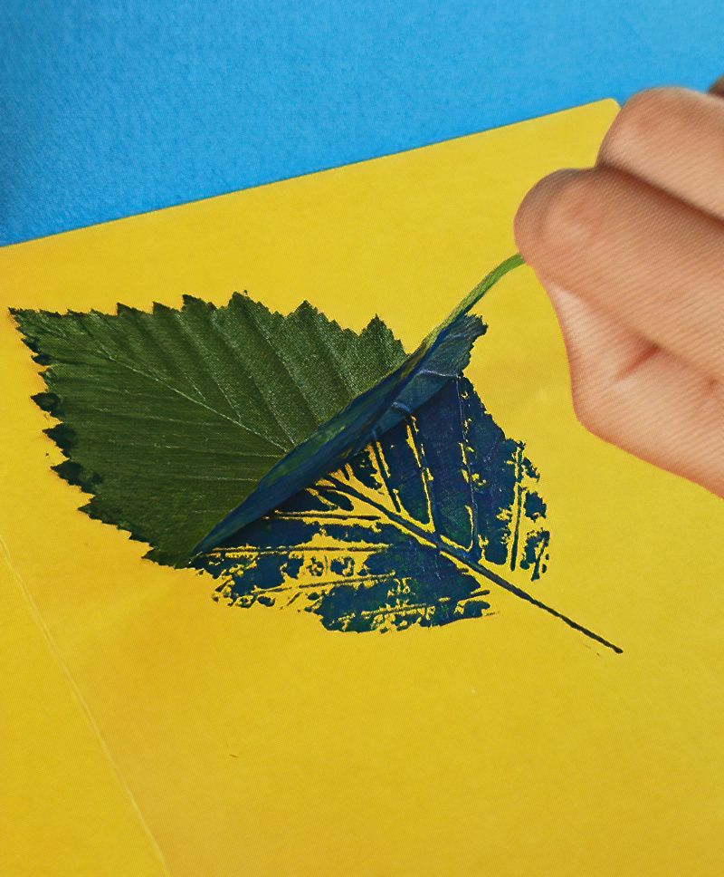 Leaf Printing for Children
