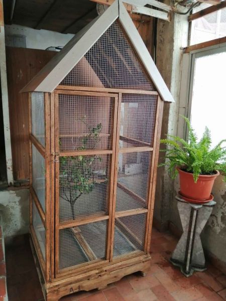 Woodwork - Beautiful Handmade Bird Cage Aviary